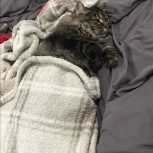 Meet your Posher, Anna